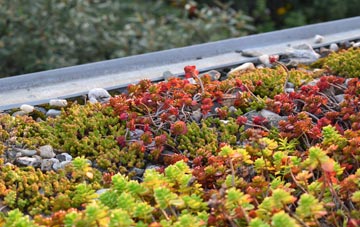 the cost of Mickfield green roof installation