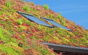 Mickfield living roof systems