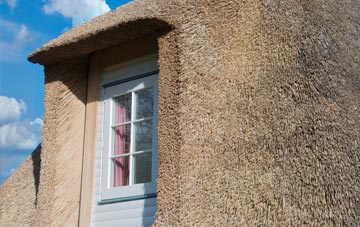 Mickfield thatch roof disadvantages
