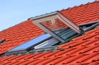 Mickfield roof window