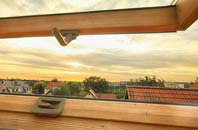 rated Mickfield roof window companies